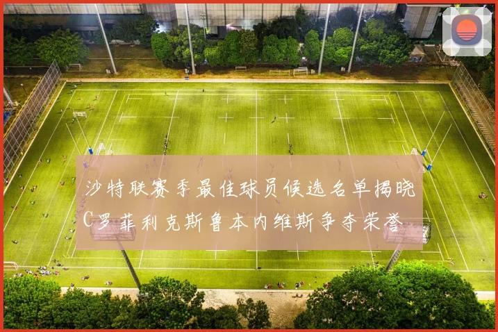 沙特联赛季最佳球员候选名单揭晓C罗菲利克斯鲁本内维斯争夺荣誉